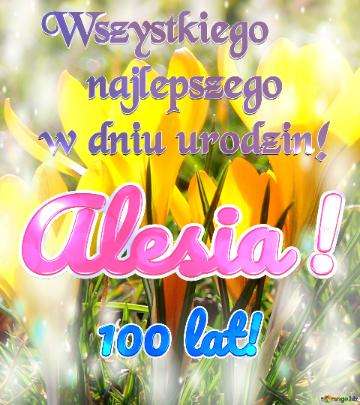 Wszystkiego      najlepszego  w dniu urodzin! 100 lat! Alesia ! 