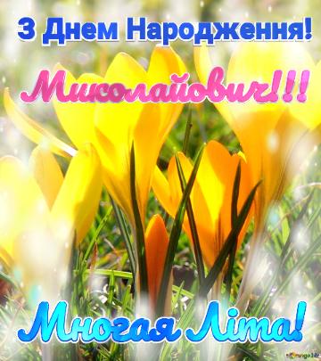 З Днем Народження! Многая Літа! Миколайович!!!  Квіти...