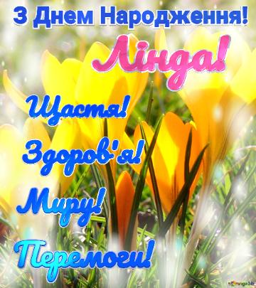 З Днем Народження! Щастя! Здоров`я! Миру!  Перемоги! Лінда!  Квіти золотистого кольору