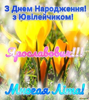 З Днем Народження!     з Ювілейчиком! Многая Літа! Ярославович!!!  Квіти золотистого кольору