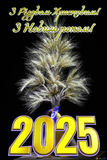 З Різдвом Христовим! З Новим роком! 2025  The symbol of the new year