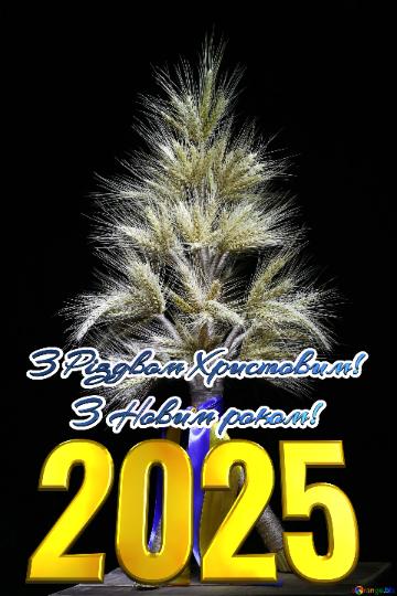 З Різдвом Христовим! З Новим роком! 2025  The Symbol Of The New Year