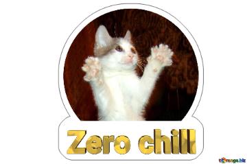 Zero Chill Cat Sticker
