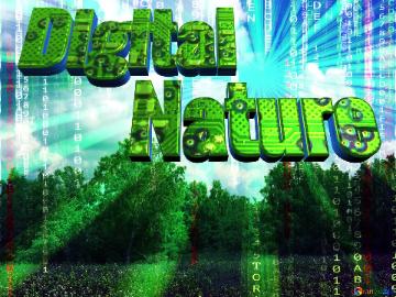 Digital         Nature  Digital nature