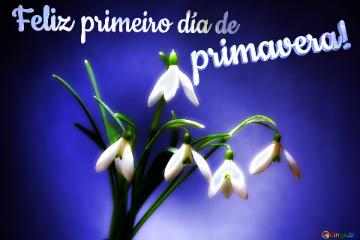 Feliz primeiro día de primavera! 