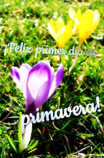 ¡Feliz primer día de primavera! 