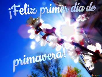 ¡feliz Primer Día De Primavera!  Soft Lens Flare And Holiday Lights Flower Tree