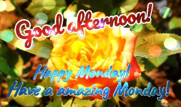 Good Afternoon! Happy Monday! Have A Amazing Monday  Wishing Harmony: Love Blossoms In Floral...