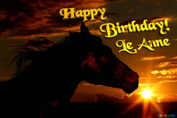 Happy           Birthday! Le Anne  Horse Silhouette On Sunset.