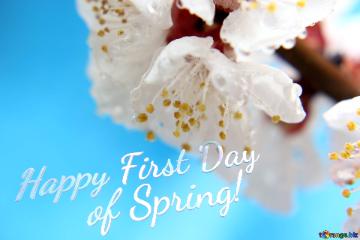  Happy First Day          Of Spring!   Beautiful Spring Background