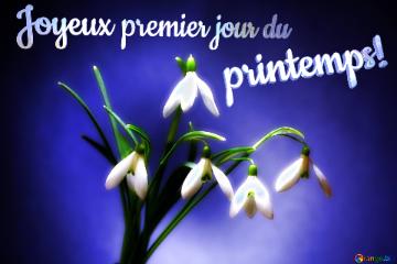 Joyeux Premier Jour Du Printemps!  Flowers