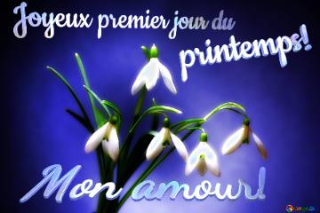 Joyeux Premier Jour Du Printemps! Mon Amour!  Flowers