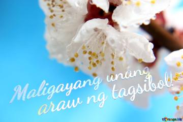 Maligayang Unang       Araw Ng Tagsibol!  Beautiful Spring Background