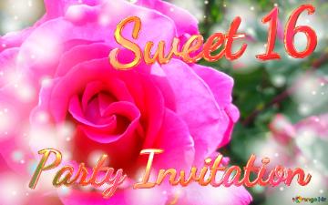 Party Invitation Sweet 16  Vibrant Pink Rose Blooming Amidst A Dreamy Background