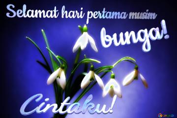 Selamat Hari Pertama Musim Bunga! Cintaku!  Flowers