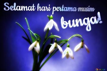 Selamat Hari Pertama Musim Bunga!  Flowers