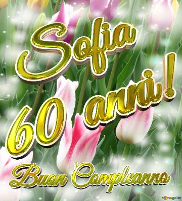  Sofia 60 Anni! Buon Compleanno   Il Tulipano è Un Simbolo Di Gratitudine, Auguri Per Una Vita...