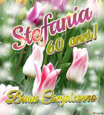 Stefania 60 Anni! Buon Compleanno   Il Tulipano è Un Simbolo Di Gratitudine, Auguri Per Una Vita...