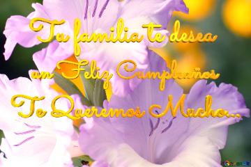 Tu Familia Te Desea Te Queremos Mucho... Un Feliz Cumpleaños  Beautiful Flowers For...