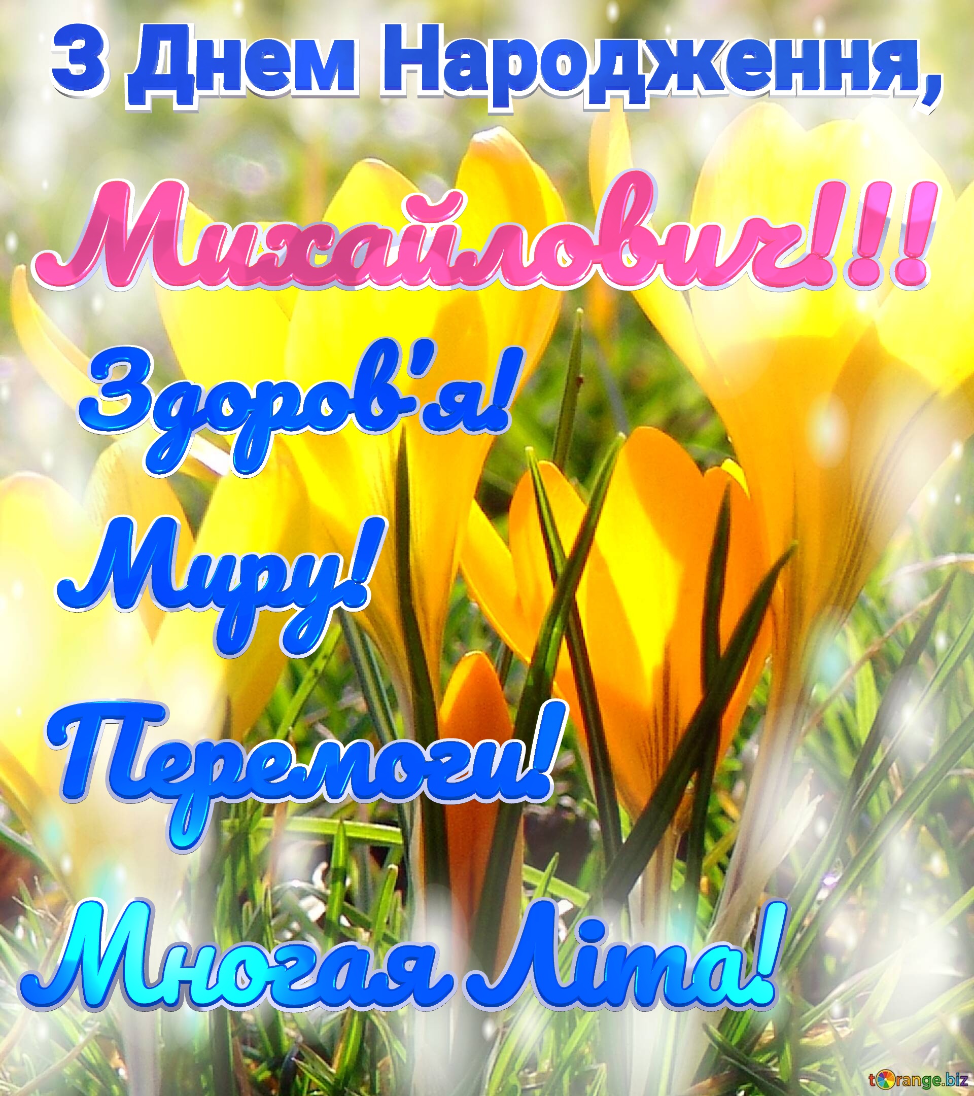 З Днем Народження, Здоров&rsquo;я! Миру! Перемоги! Многая Літа! Михайлович!!!  Квіти золотистого кольору №0
