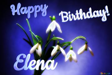 Happy               Birthday! Elena  Flowers
