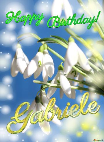 Happy           Birthday! Gabriele  flower`s background