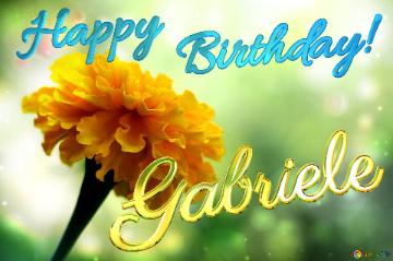 Happy               Birthday! Gabriele  Marigold bokeh background