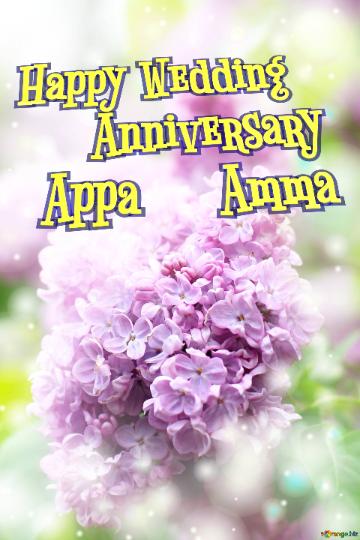 Happy Wedding       Anniversary    Appa     Amma Anna   Beautiful lilac flowers