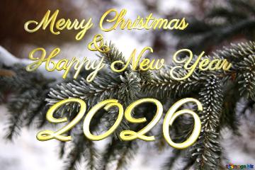 Merry Christmas 2026  Happy New Year &  Rime of spruce branches
