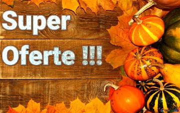 Super Oferte !!!  Autumn Background With Pumpkins