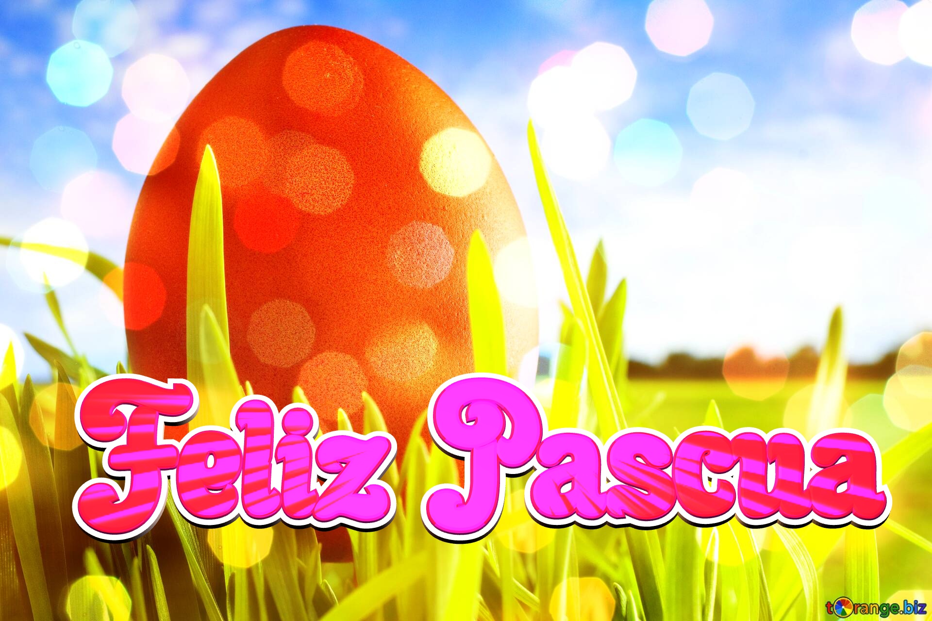 Feliz Pascua   Easter background №0