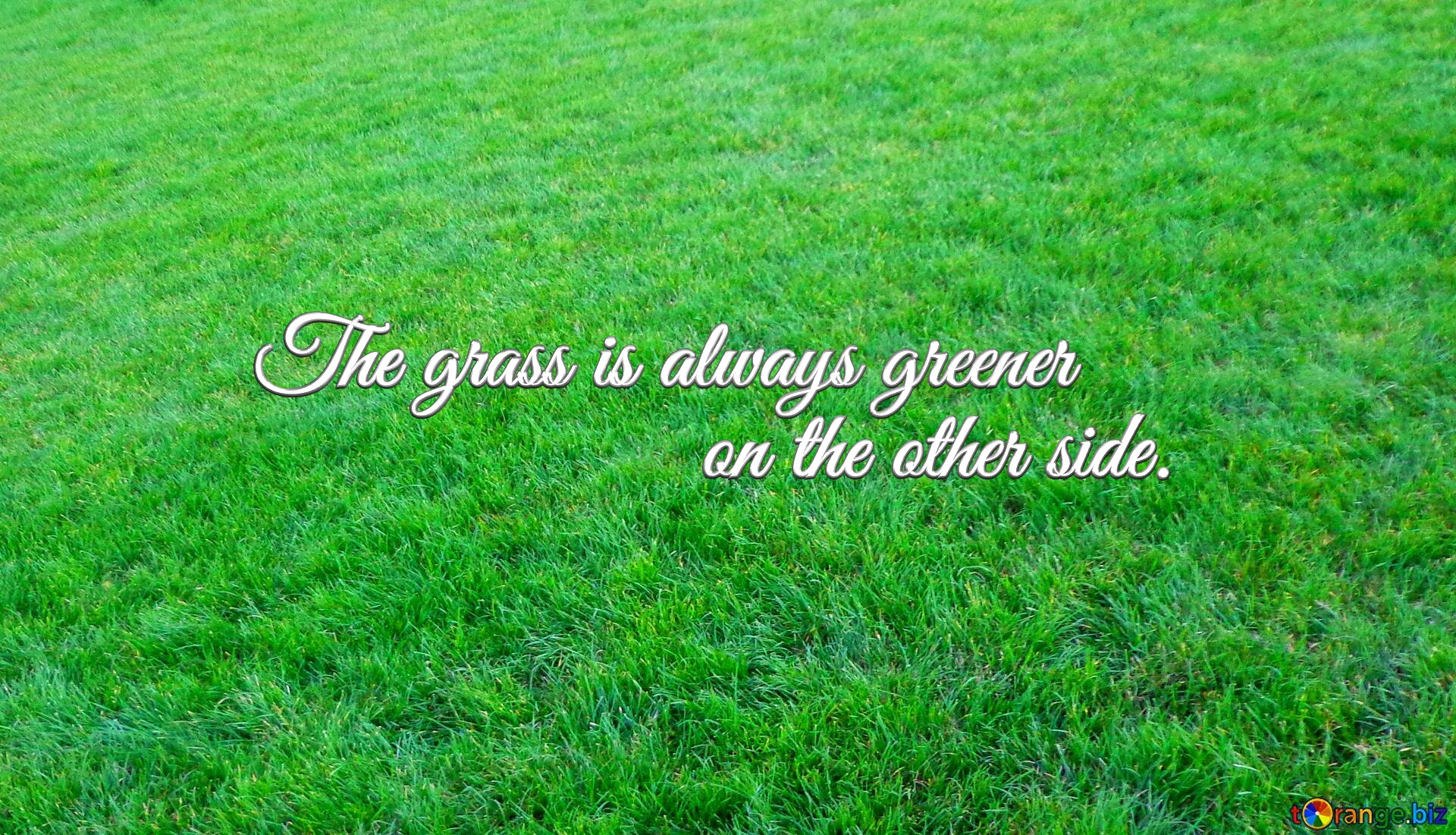 Cover for Facebook grass is always greener on other side. Green  lawn grass  texture №0