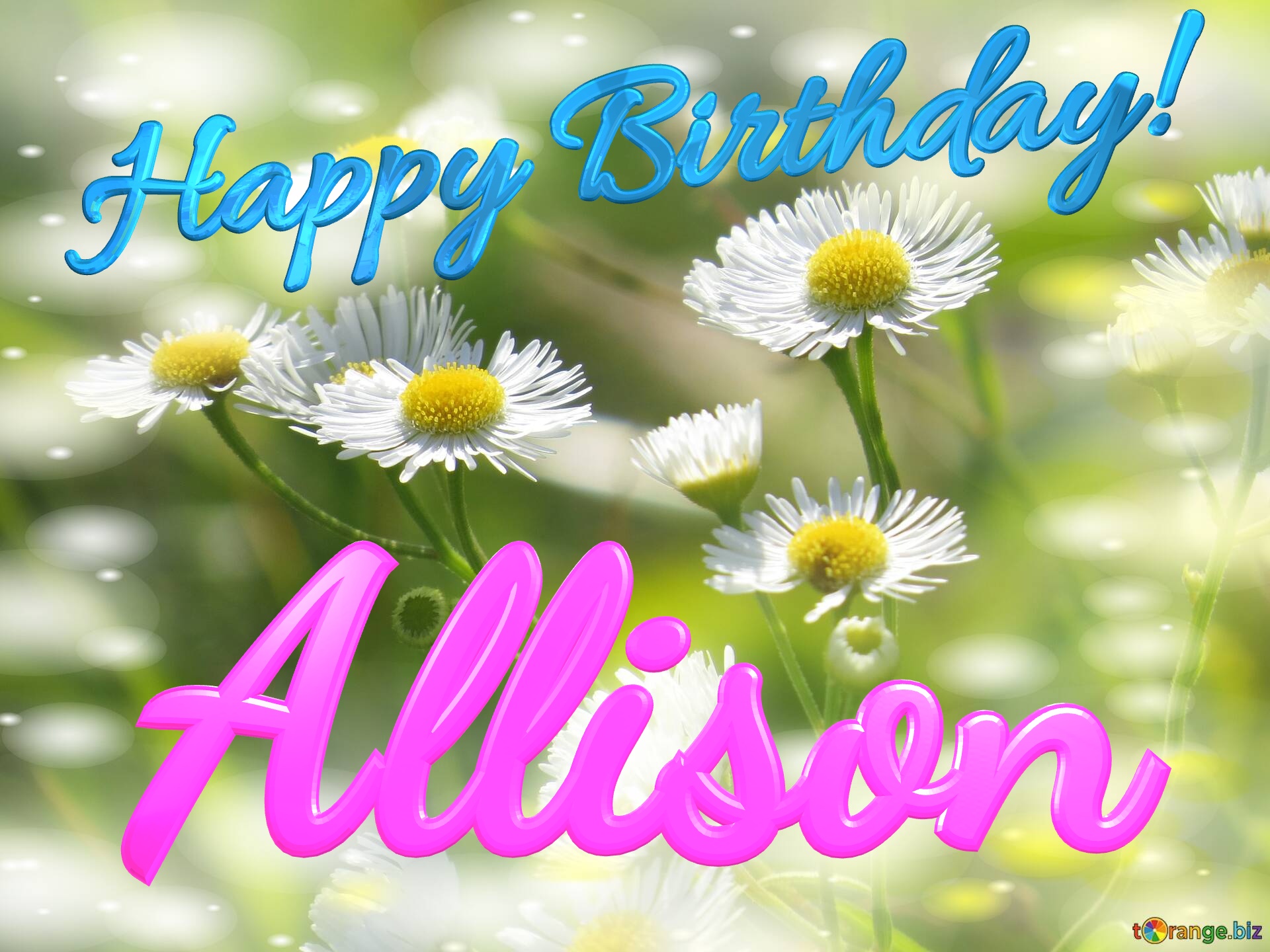 Allison Happy Birthday! Daisies bokeh background №0