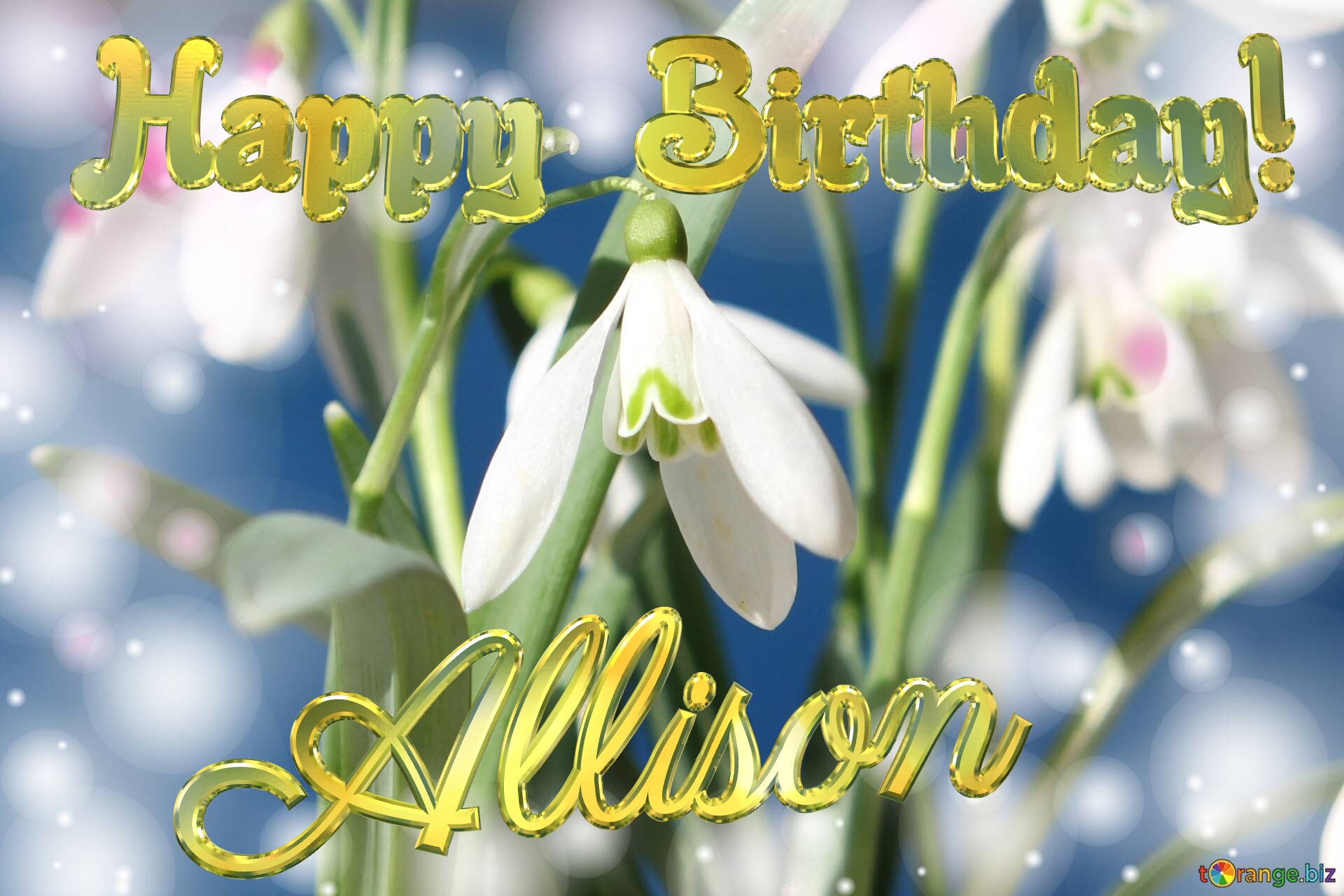 Happy Birthday! Allison Spring Flowers Flowers  spring background №0
