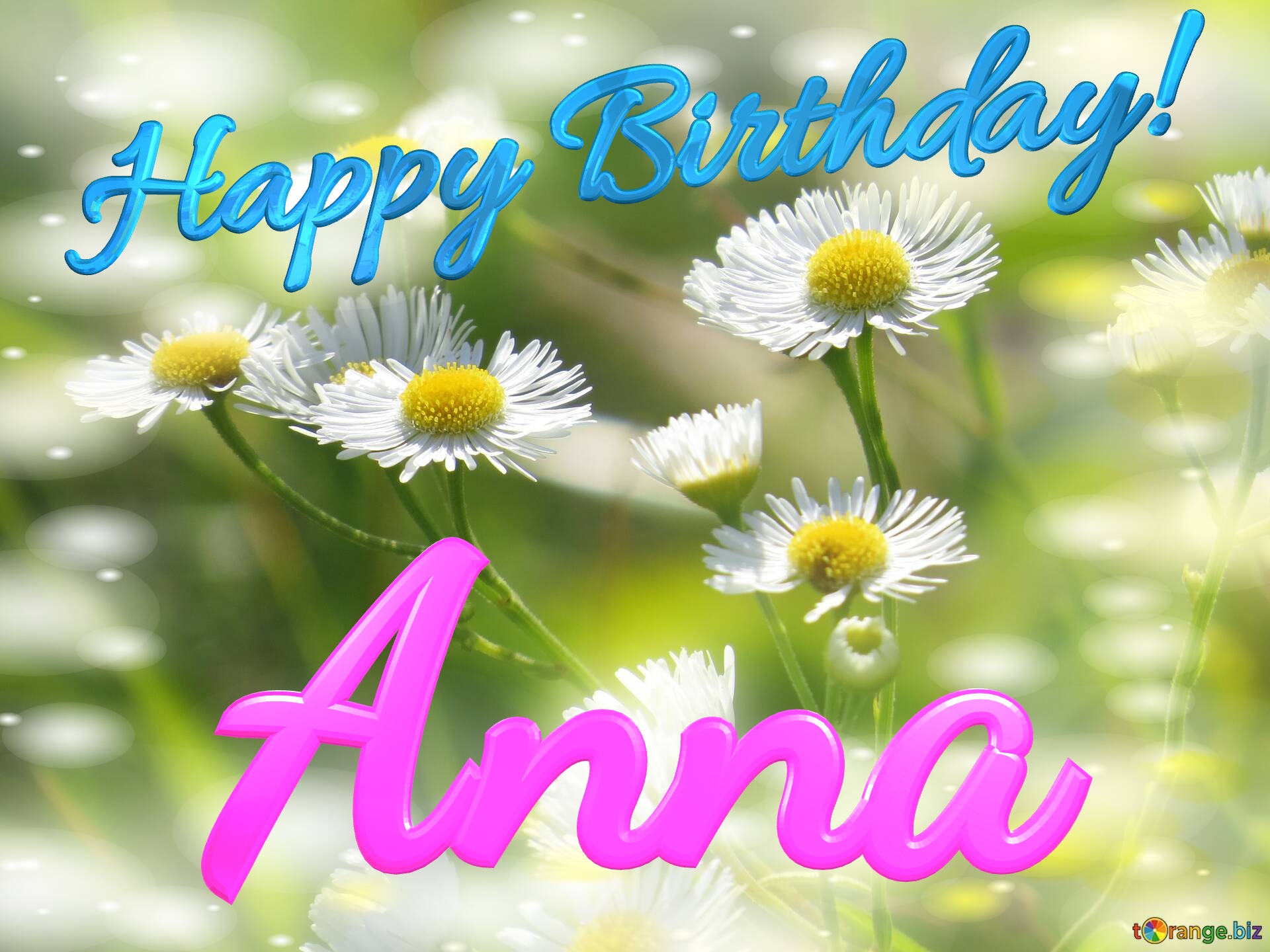 Anna Happy Birthday! Daisies bokeh background №0
