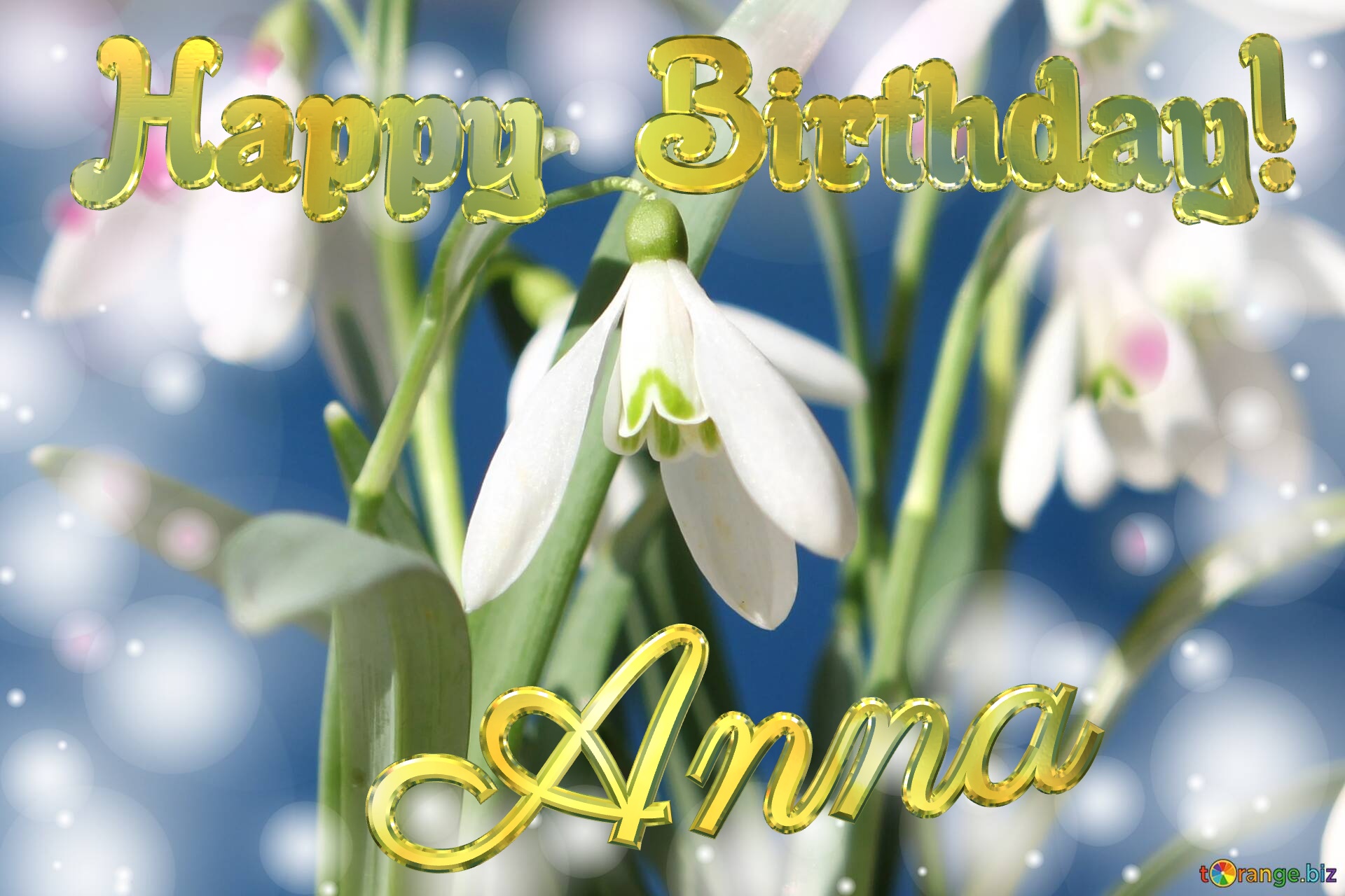 Happy Birthday! Anna Spring Flowers Flowers  spring background №0