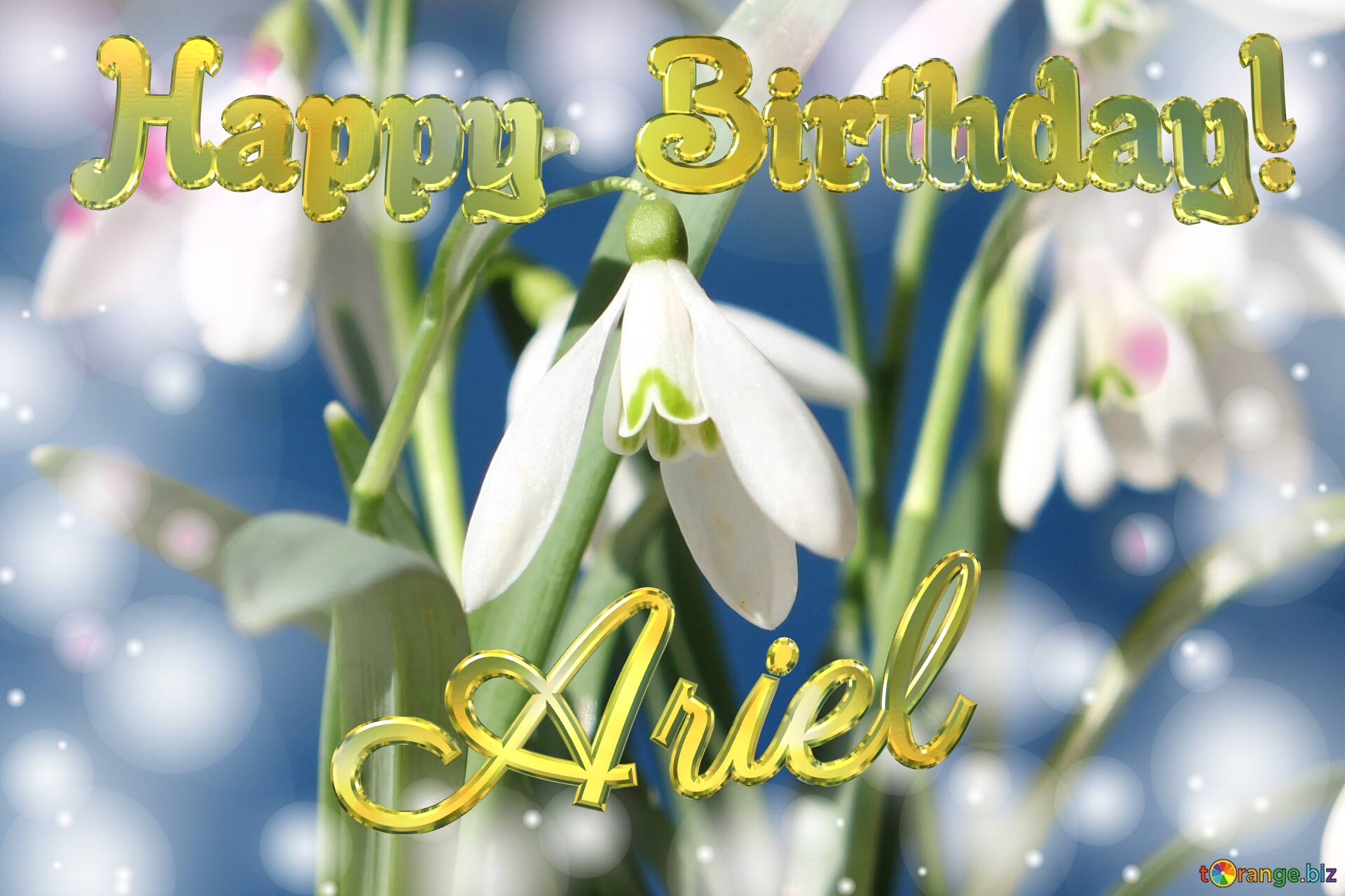 Happy  Birthday! Ariel   Flowers  spring background №0