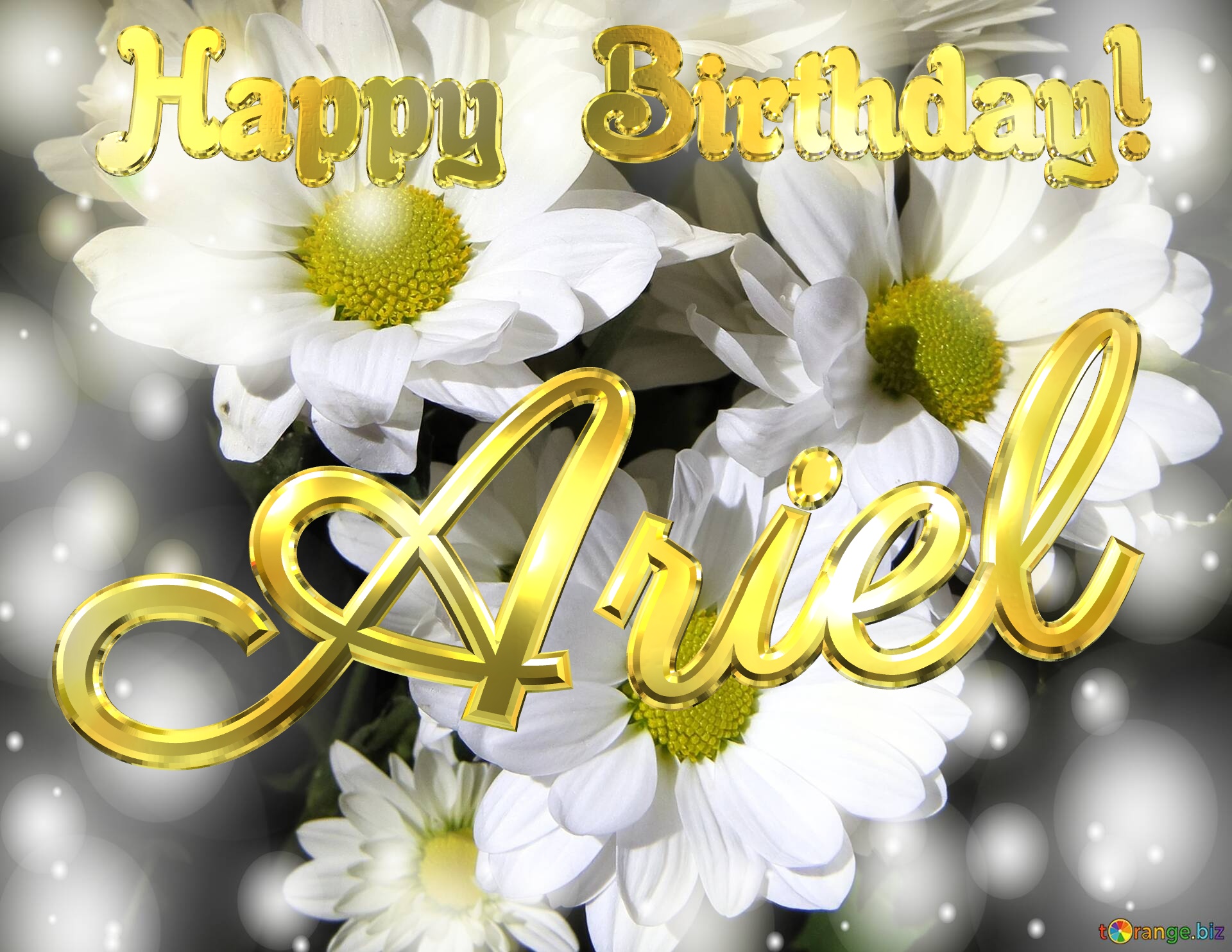 Ariel Happy Birthday! White flowers background №0