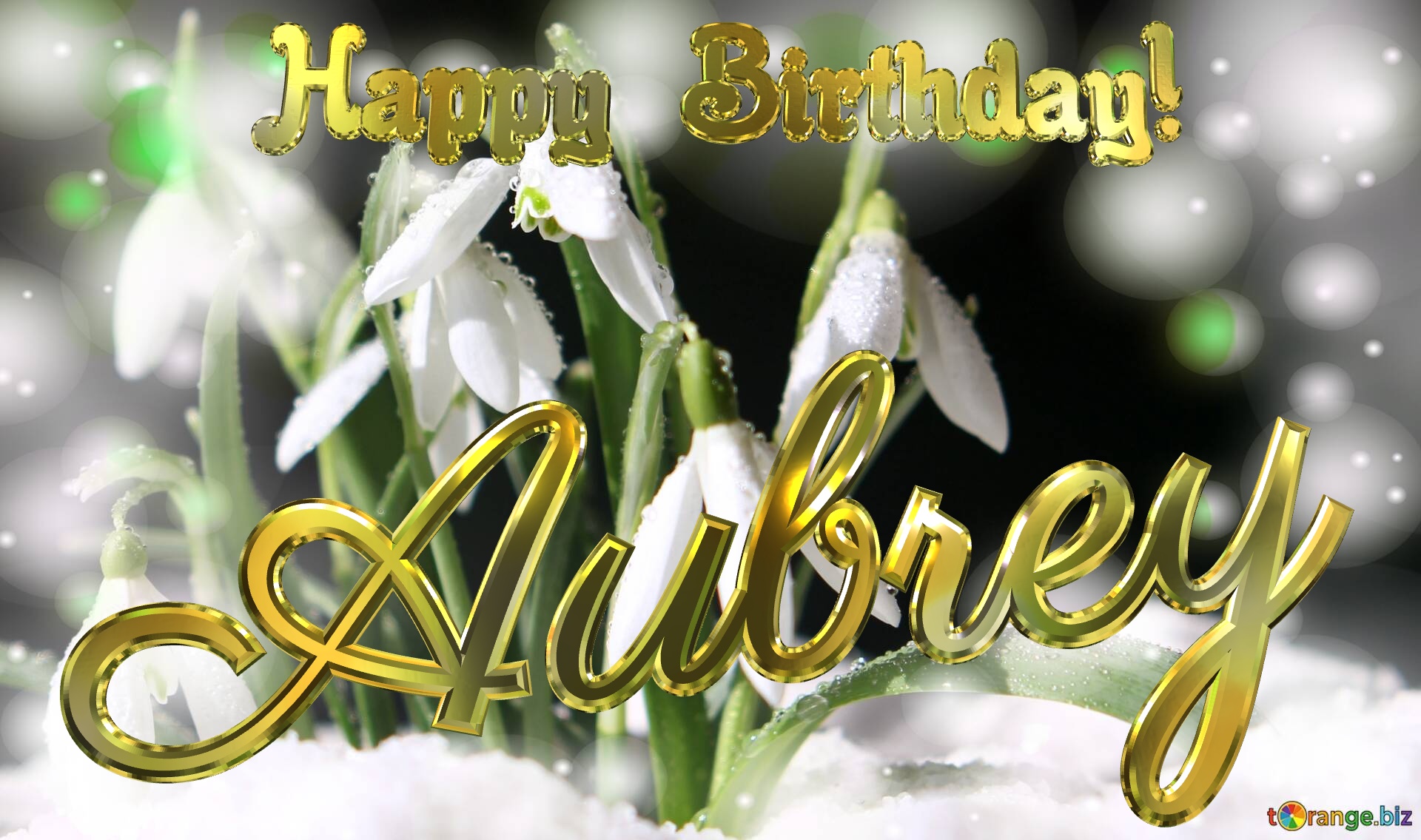 Aubrey Happy Birthday! Spring backgrounds with first flower №0