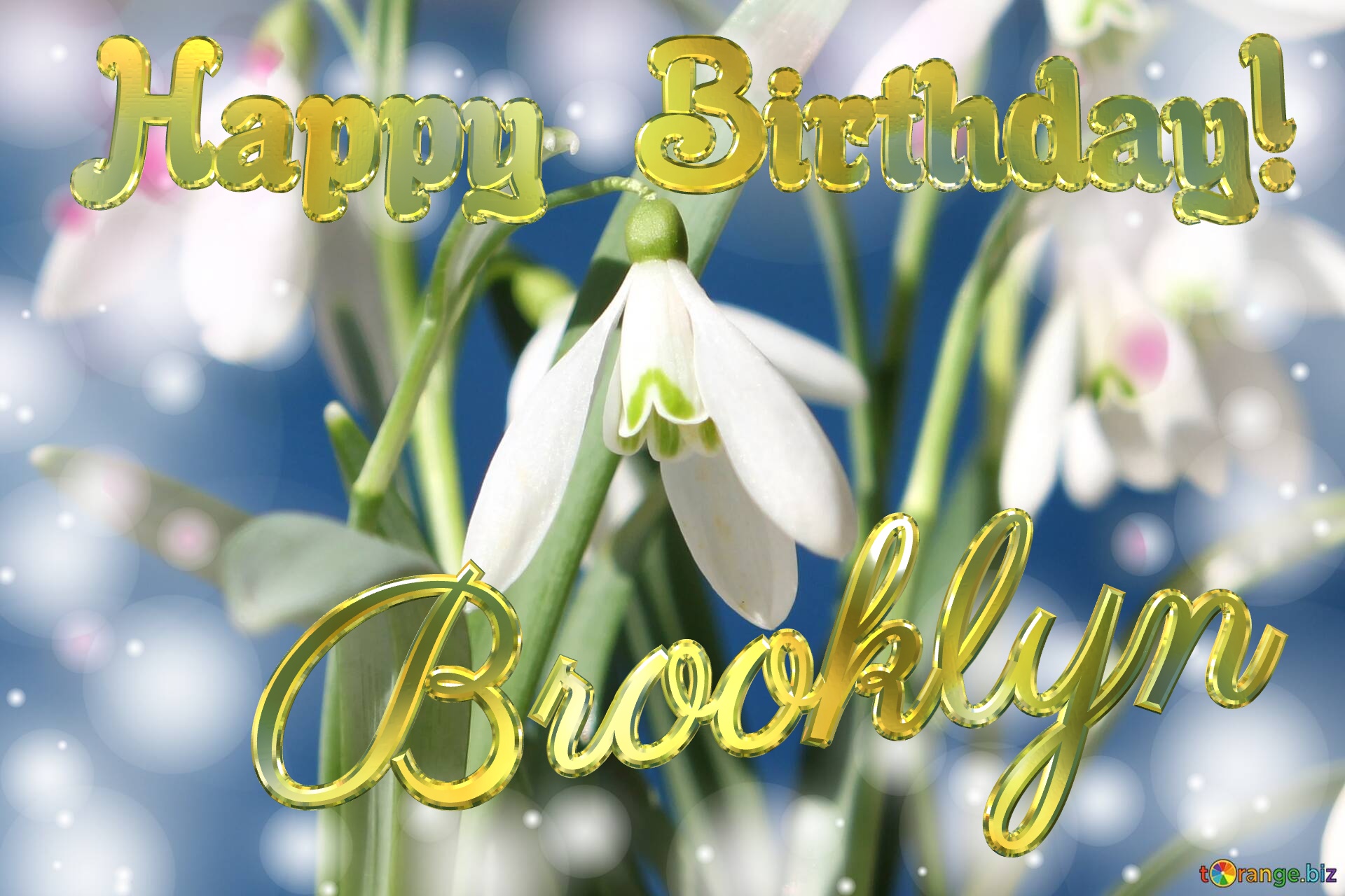 Happy Birthday! Brooklyn Spring Flowers Flowers  spring background №0
