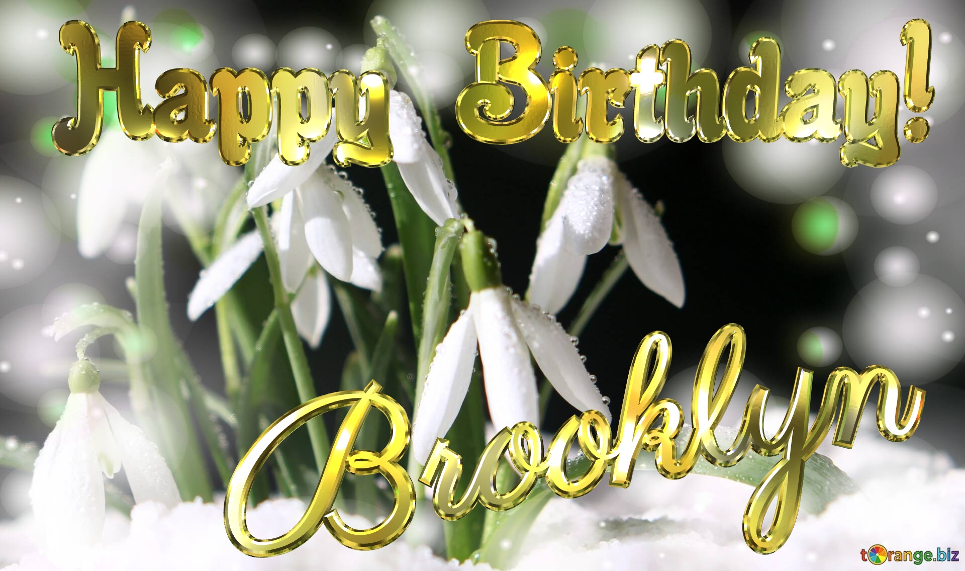 Brooklyn Happy Birthday! Spring backgrounds with first flower №0