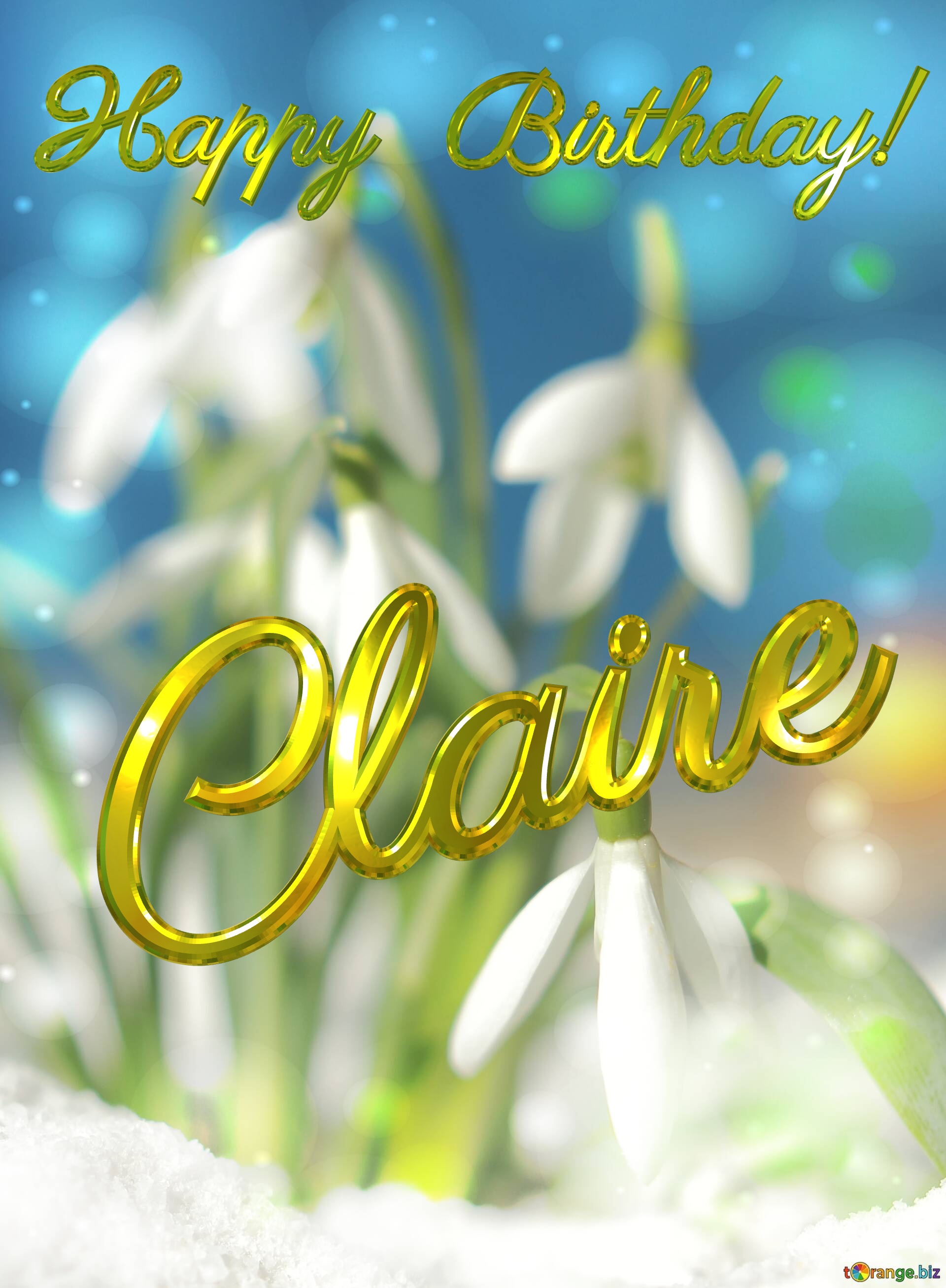 Happy Birthday! Claire Spring Flowers Beautiful spring  flowers bokeh background №0
