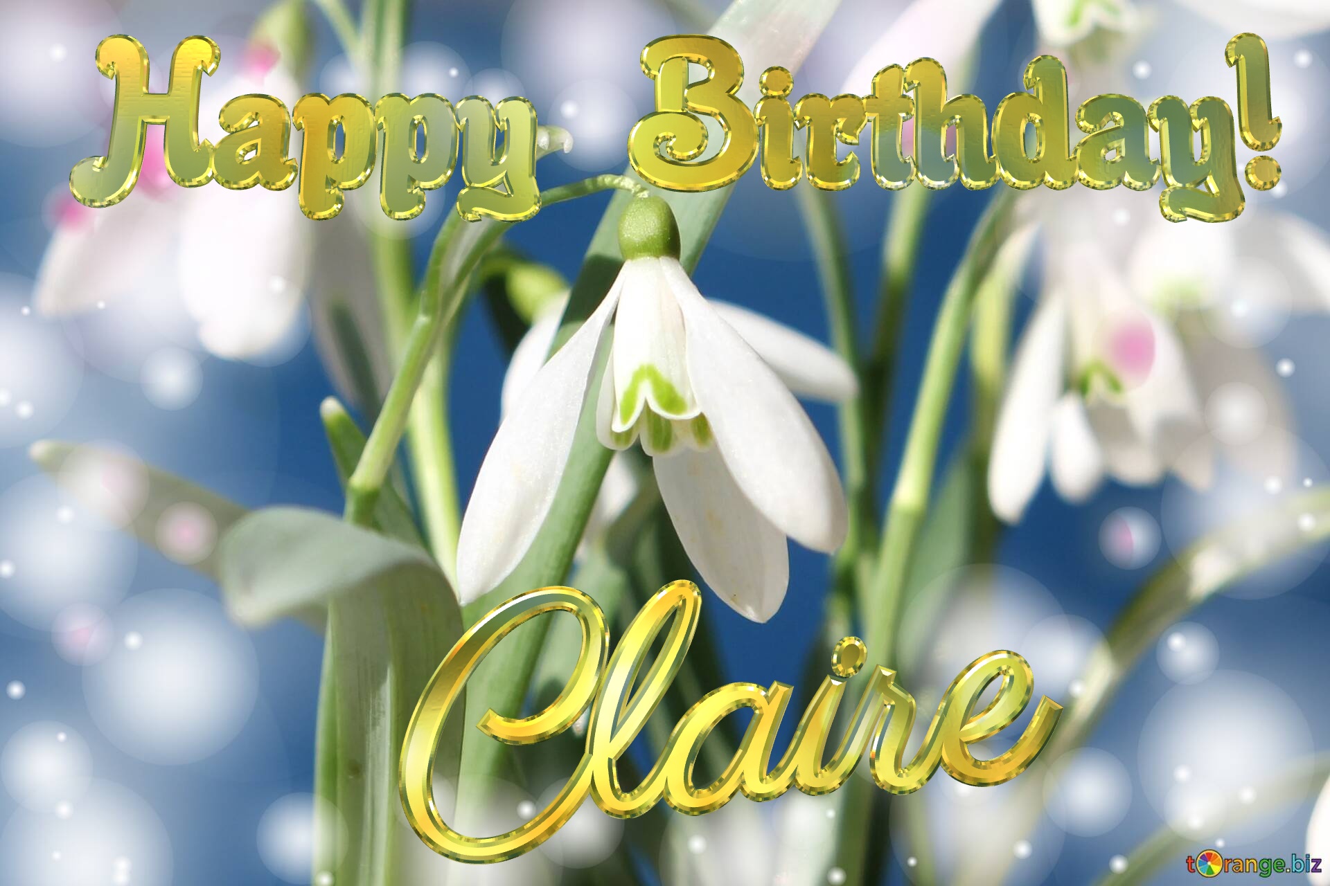 Happy Birthday! Claire Spring Flowers Flowers  spring background №0