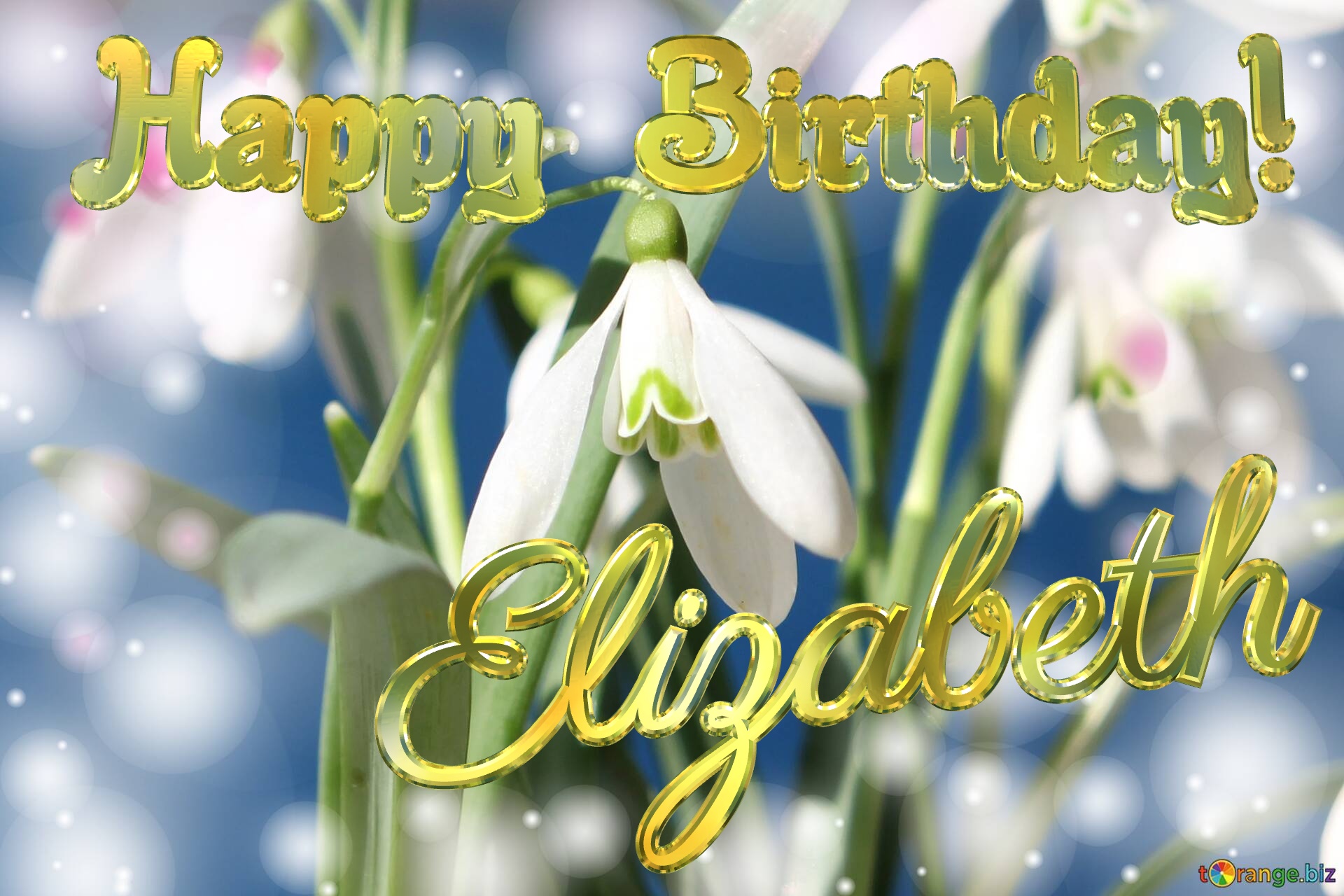 Happy Birthday! Elizabeth Spring Flowers Flowers  spring background №0
