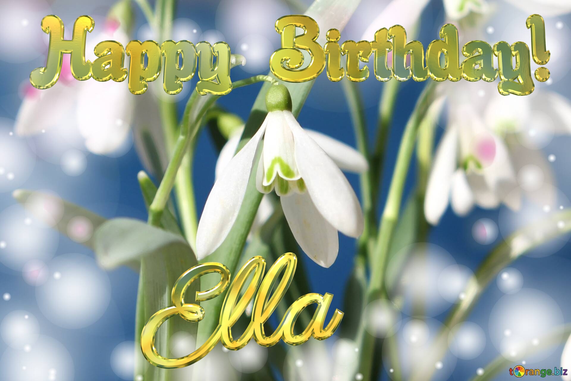 Happy Birthday! Ella Spring Flowers Flowers  spring background №0