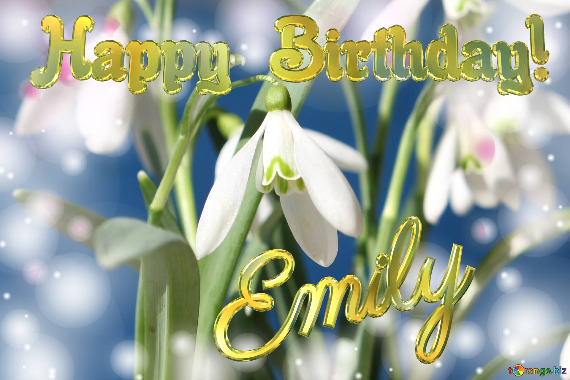 Happy  Birthday! Emily   Flowers  spring background №0