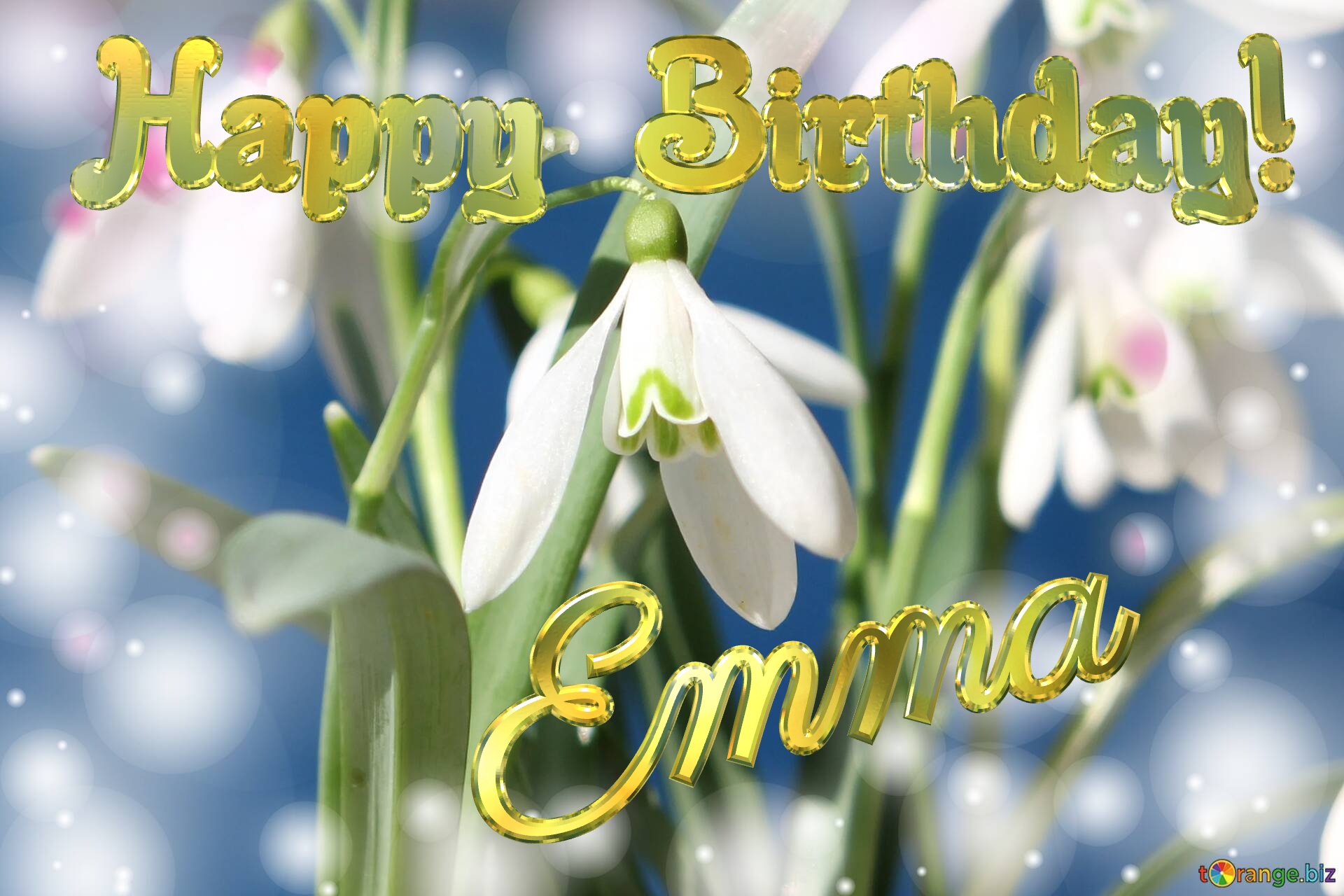 Happy Birthday! Emma Spring Flowers Flowers  spring background №0
