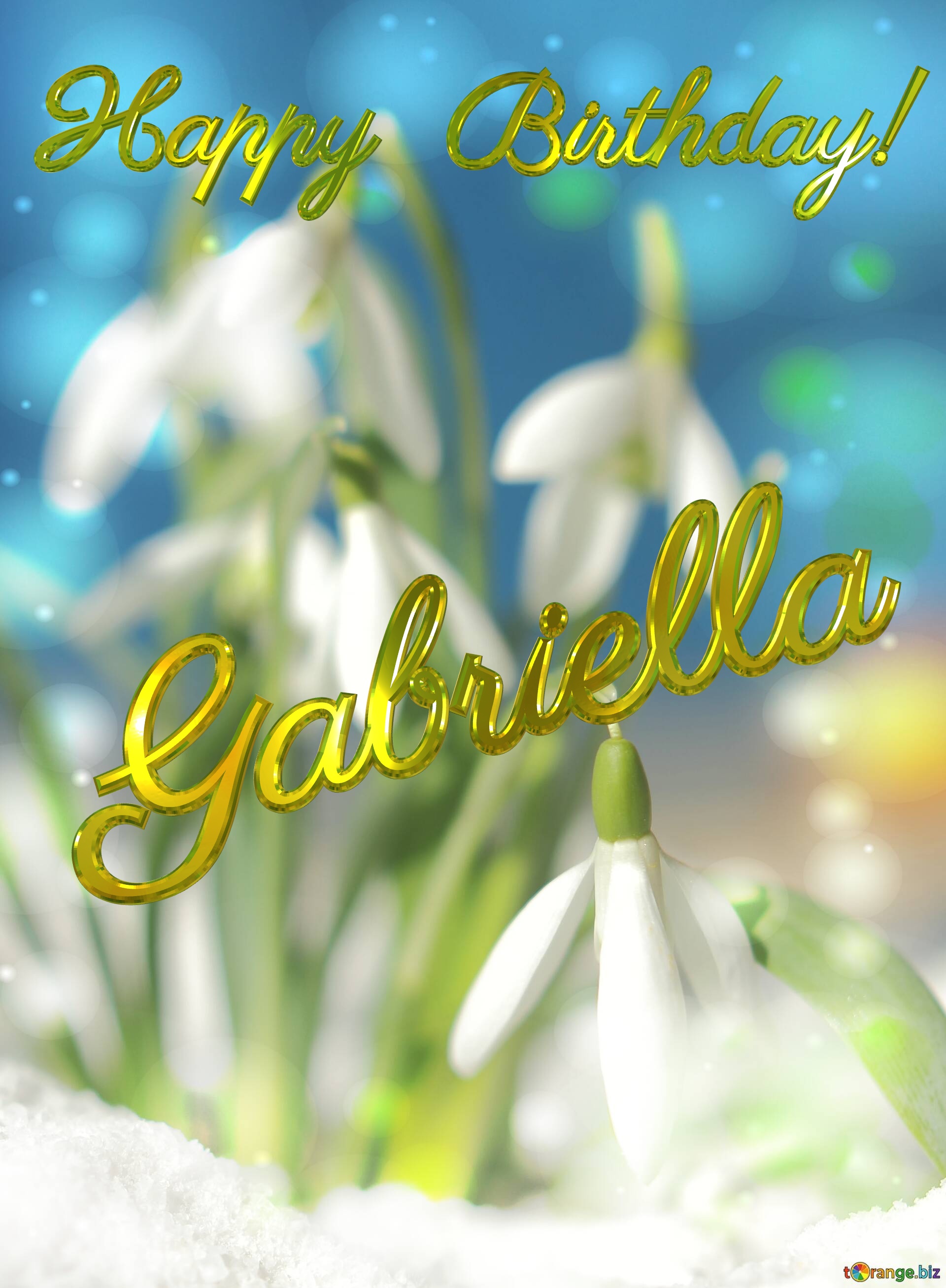 Happy Birthday! Gabriella Spring Flowers Beautiful spring  flowers bokeh background №0