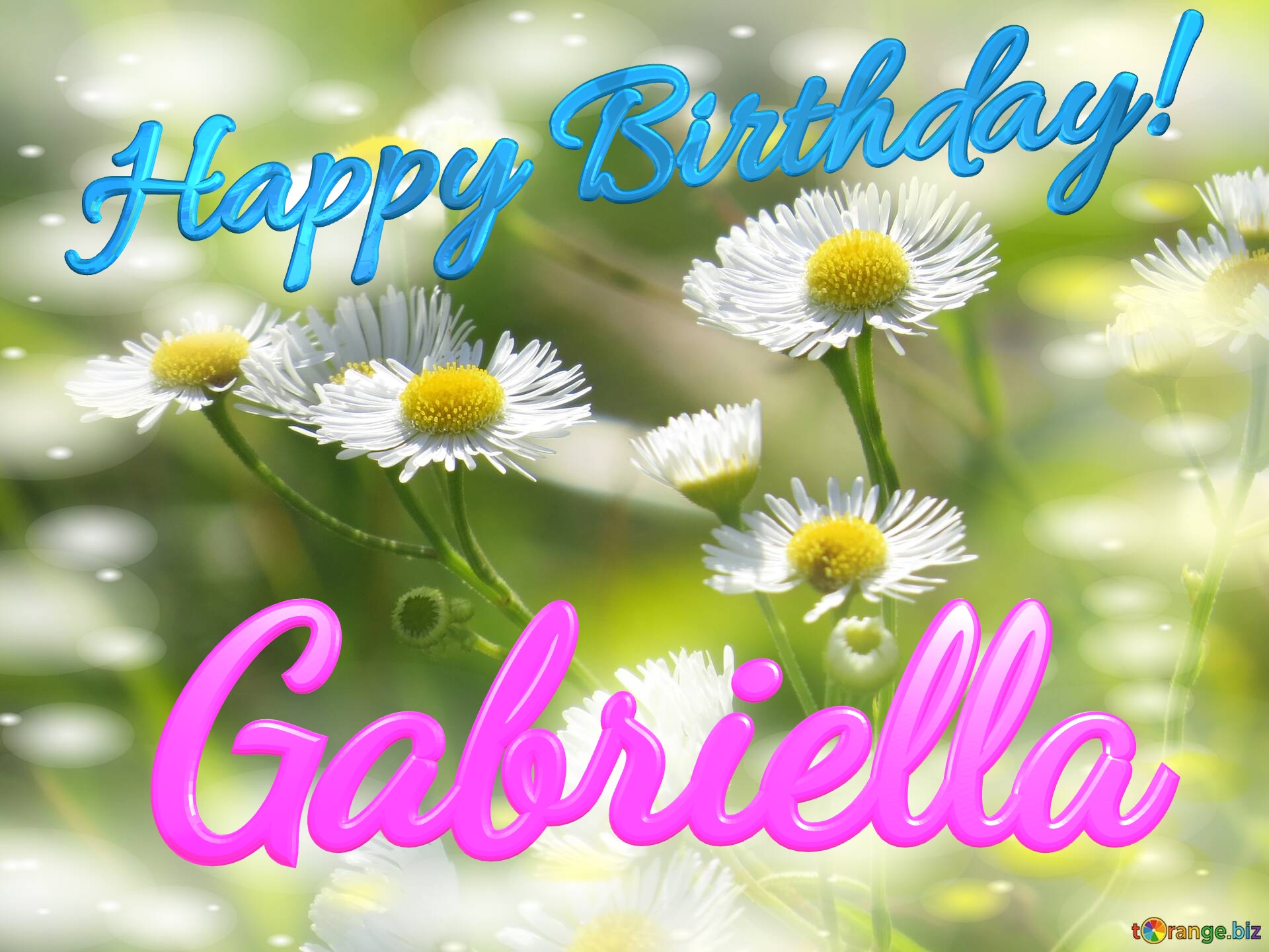 Gabriella Happy Birthday! Daisies bokeh background №0