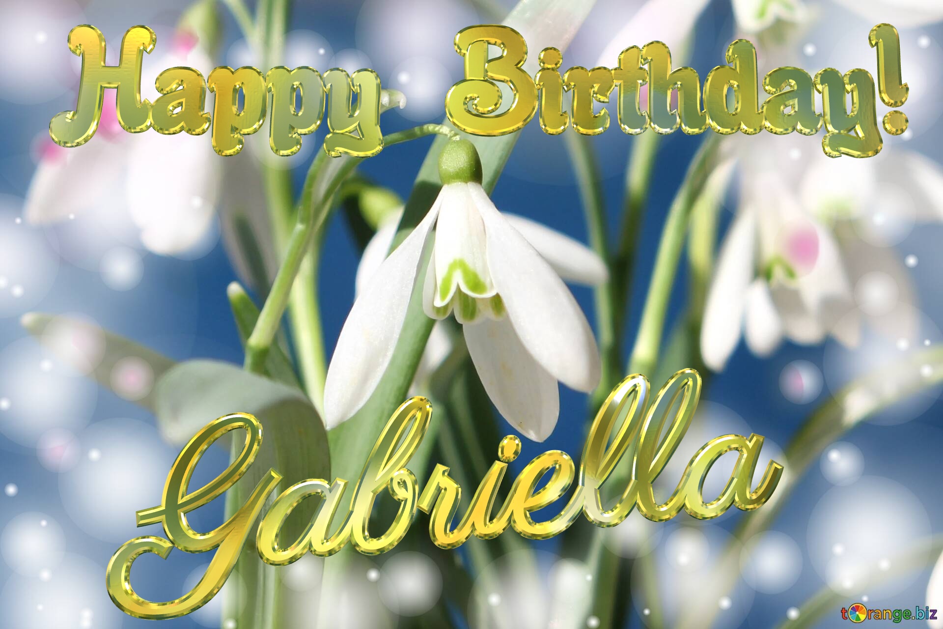 Gabriella Happy Birthday! Spring Flowers Flowers  spring background №0